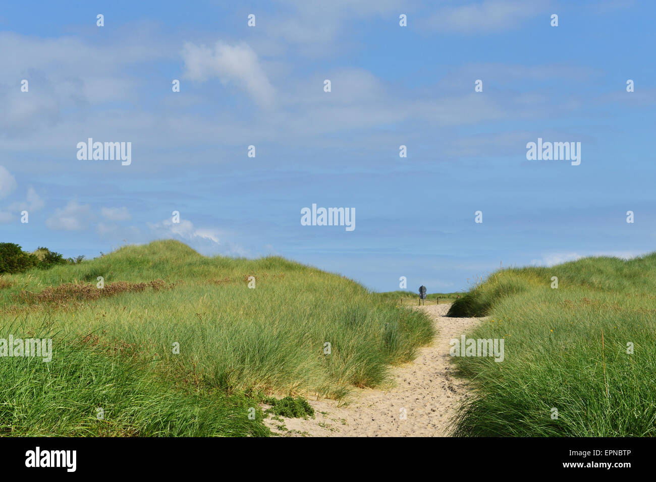 Sandigen Weg durch die grasbewachsenen Dünen auf der östlichen Spitze der Insel Norderney, Ostfriesland, Niedersachsen, Deutschland Stockfoto