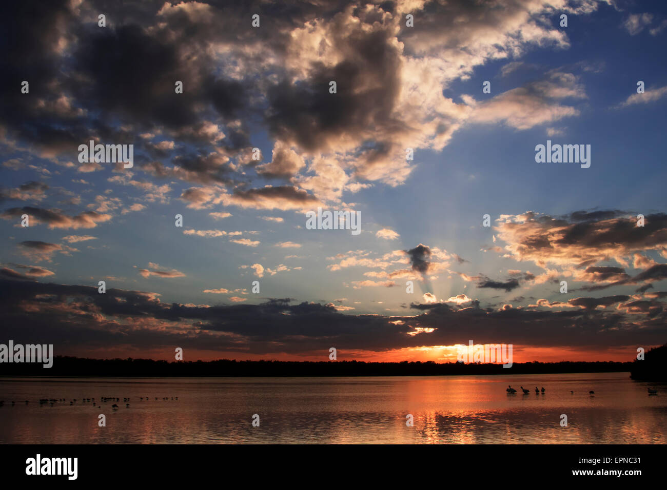 Sonnenuntergang, Sanibel Island, Florida, USA Stockfoto