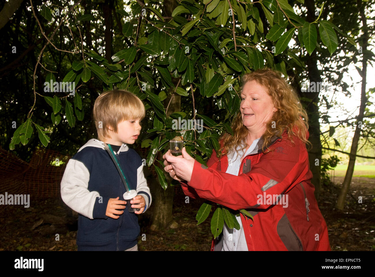 Promi Tv Gartner Charlie Dimmock Tvs Ground Force Auf Der Suche Nach Wanzen Tagsuber Wachsen For It Natur Bewusstsein Fur Kinder Stockfotografie Alamy