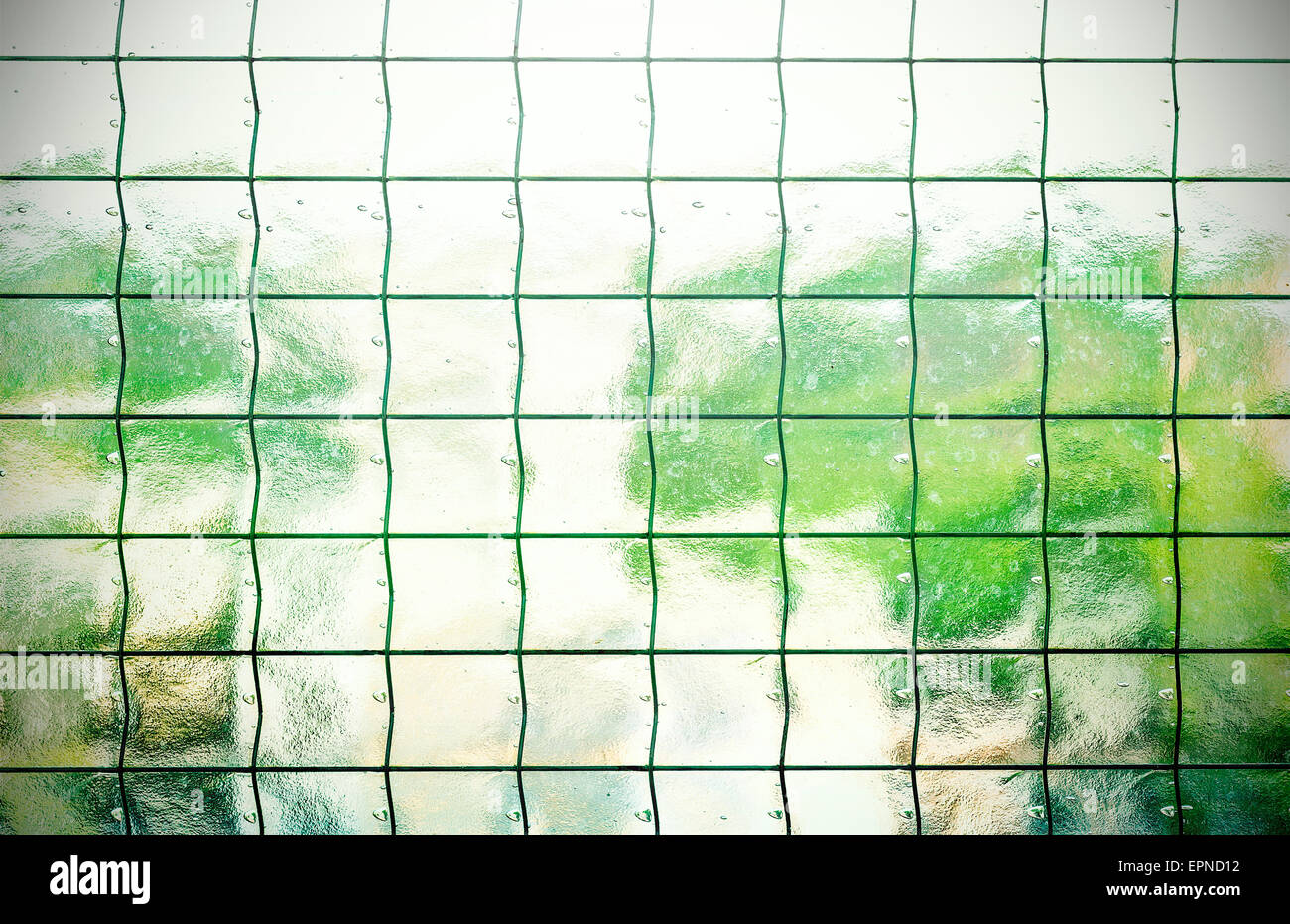 Grüne Retro-abstrakten Hintergrund hergestellt aus Milchglas mit Gitterrost. Stockfoto