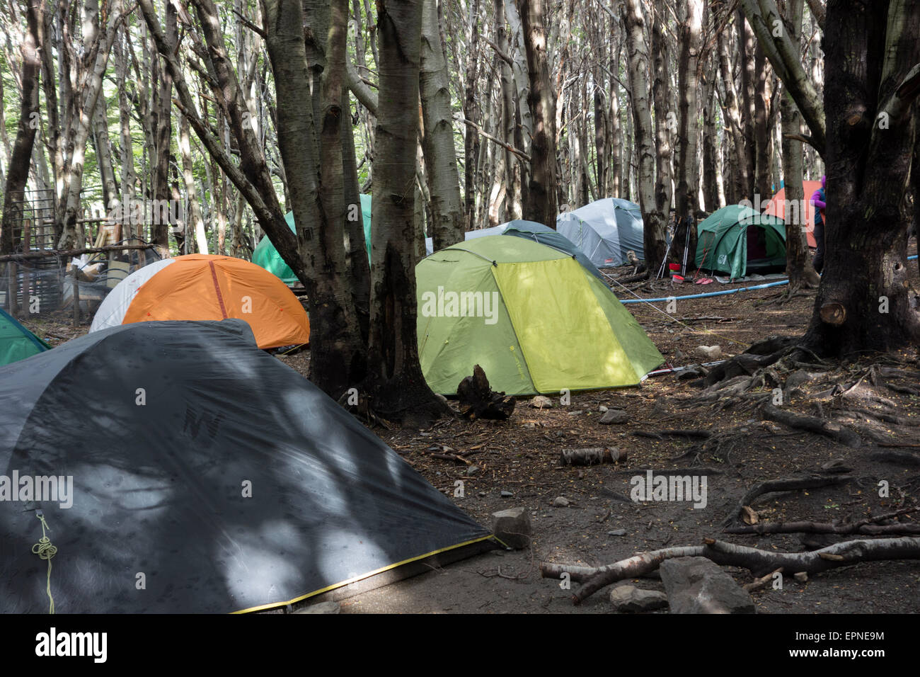 Zelte am Campingplatz Italiano. Franzsisch-Tal. W-trekking-Schaltung.  Torres del Paine Nationalpark. Patagonien. Chile Stockfotografie - Alamy