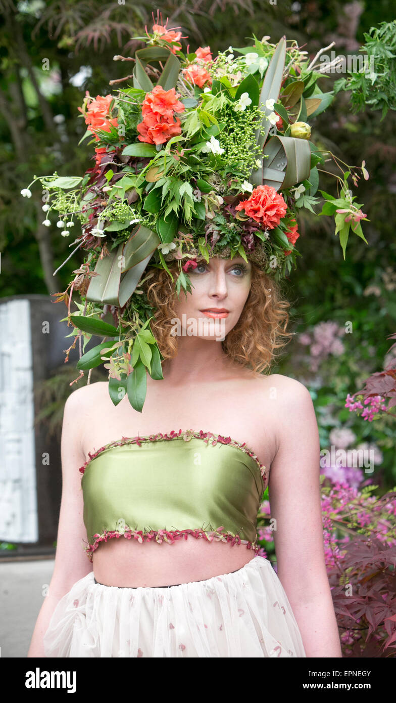 Wunderbare Farben und Blüten einschließlich Auriculas, Chrysanthemen und Rosen im RHS Chelsea Flower show 2015 Stockfoto