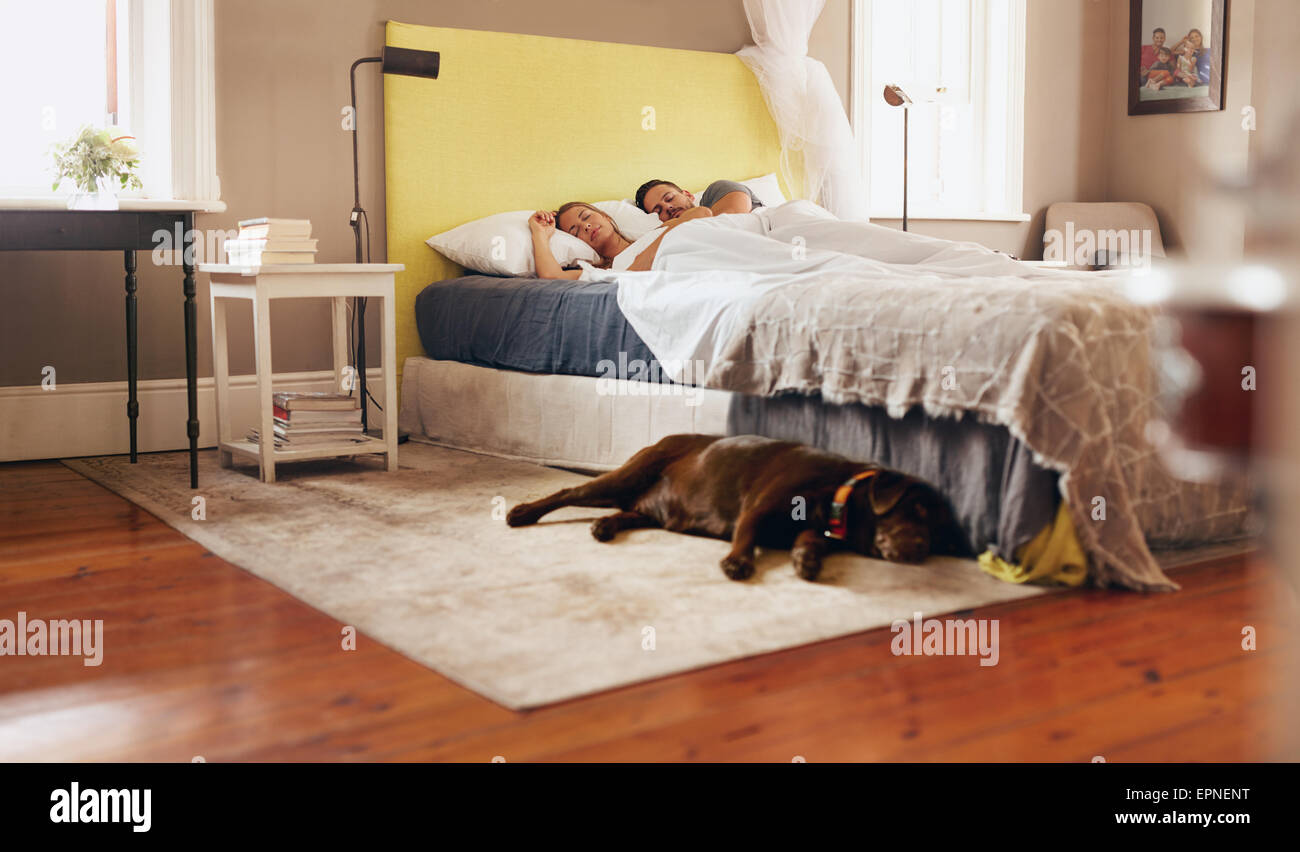 Innenaufnahme des Hundes am Boden im Schlafzimmer liegen. Junges Paar schläft bequem auf Bett. Stockfoto