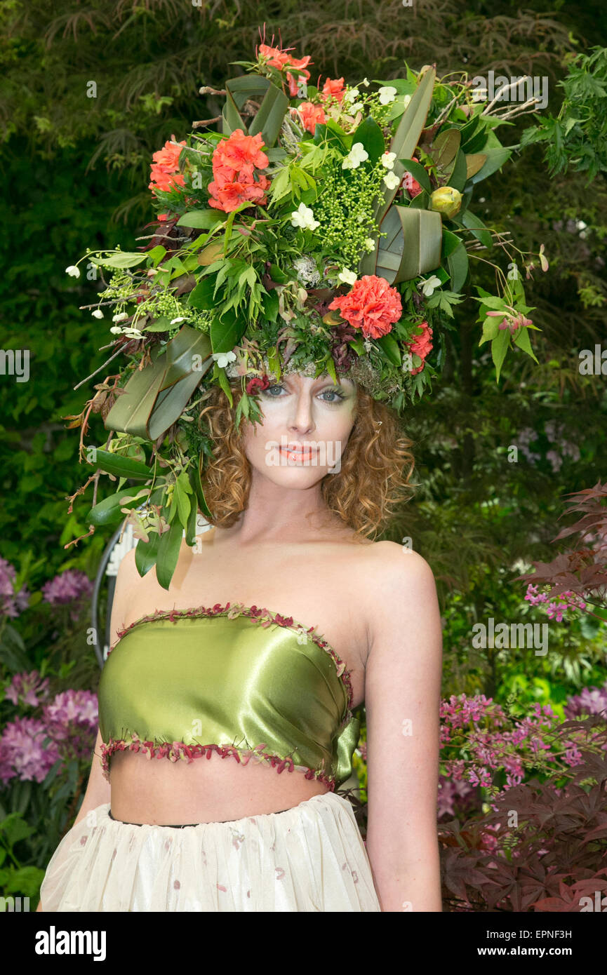 Wunderbare Farben und Blüten einschließlich Auriculas, Chrysanthemen und Rosen im RHS Chelsea Flower show 2015 Stockfoto