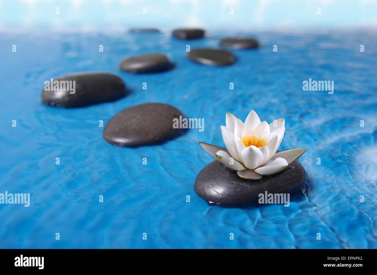 Zen Steinen im blauen Wasser mit Lilie Stockfoto