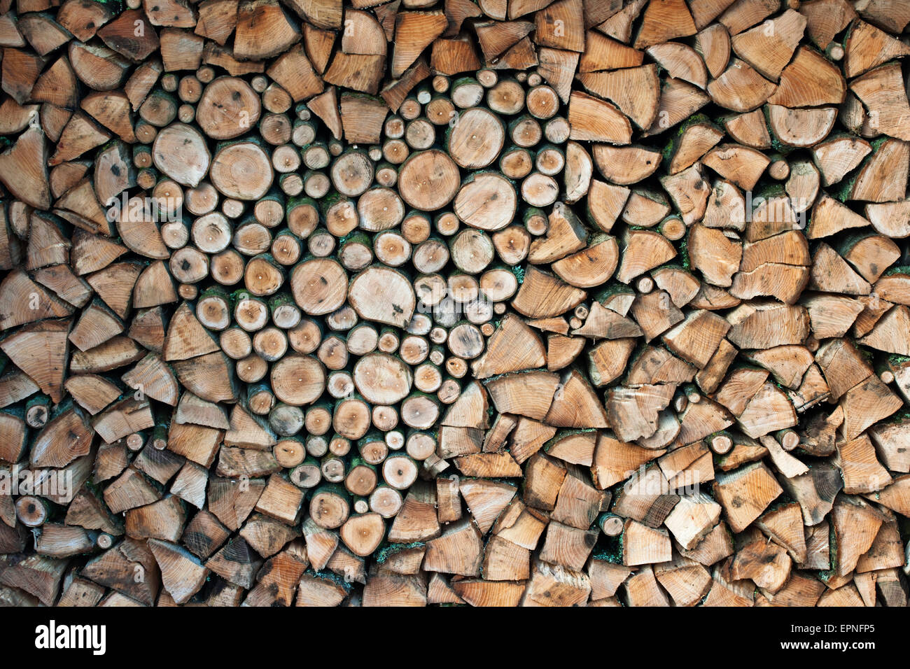 Holzstapel luftgetrocknet, homegrown, Hartholz Brennholz mit Herz Form Design, North Wales, UK Stockfoto