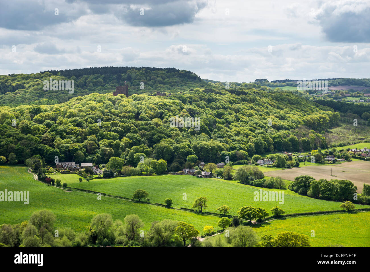 Peckforton Castle auf einem bewaldeten Hügel in Cheshire, England. Stockfoto