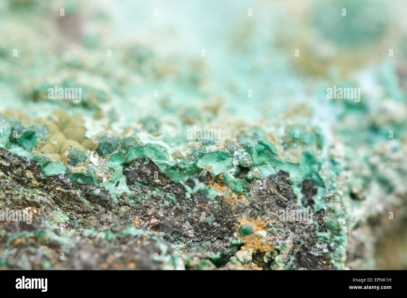 Malachit ist ein Kupfer-Carbonat-Hydroxid-Mineral mit der Formel Cu2CO3 (OH) 2. Stockfoto