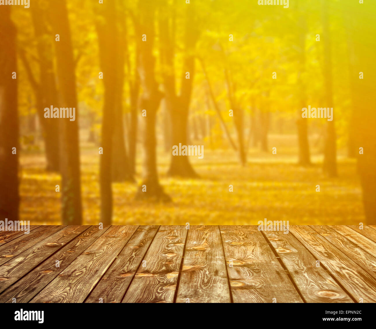 Herbstlichen Wald und Holzboden Stockfoto