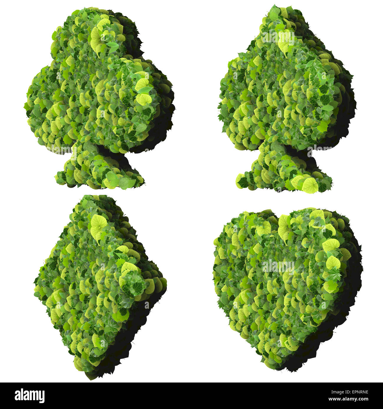 Spielkarte Eco-Symbol, hergestellt aus grünen Blättern, die isoliert auf weißem Hintergrund. 3D Render. Stockfoto