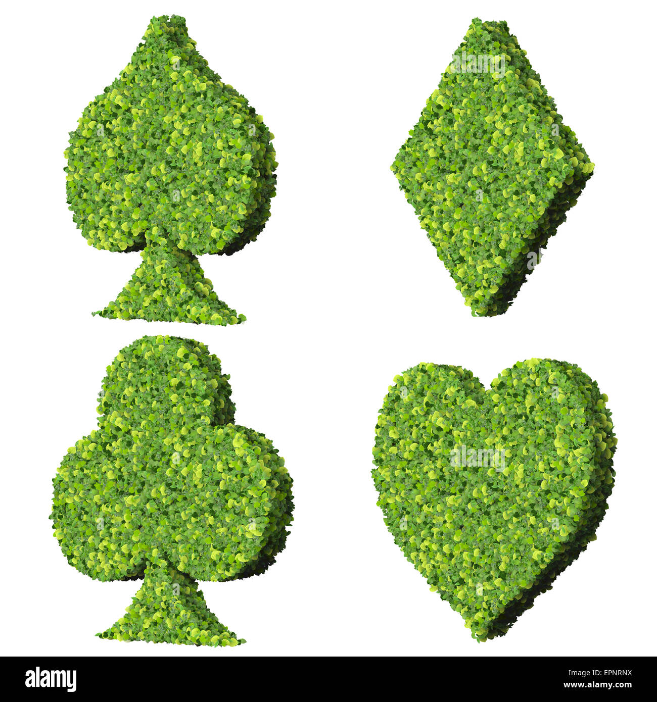 Spielkarte Eco-Symbol, hergestellt aus grünen Blättern, die isoliert auf weißem Hintergrund. 3D Render. Stockfoto