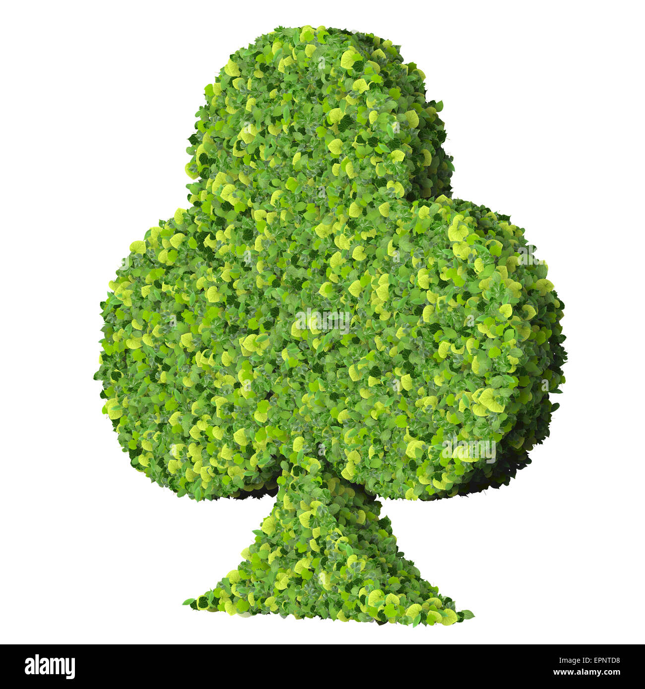Spielkarte Eco Icon Club, hergestellt aus grünen Blättern, die isoliert auf weißem Hintergrund. 3D Render. Stockfoto