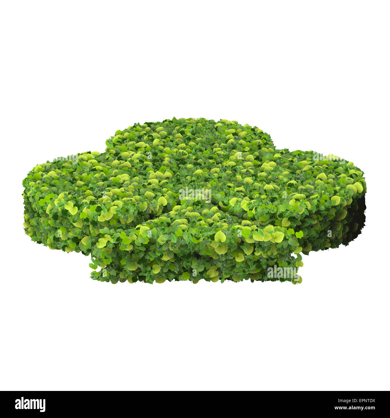 Spielkarte Eco Icon Club, hergestellt aus grünen Blättern, die isoliert auf weißem Hintergrund. 3D Render. Stockfoto