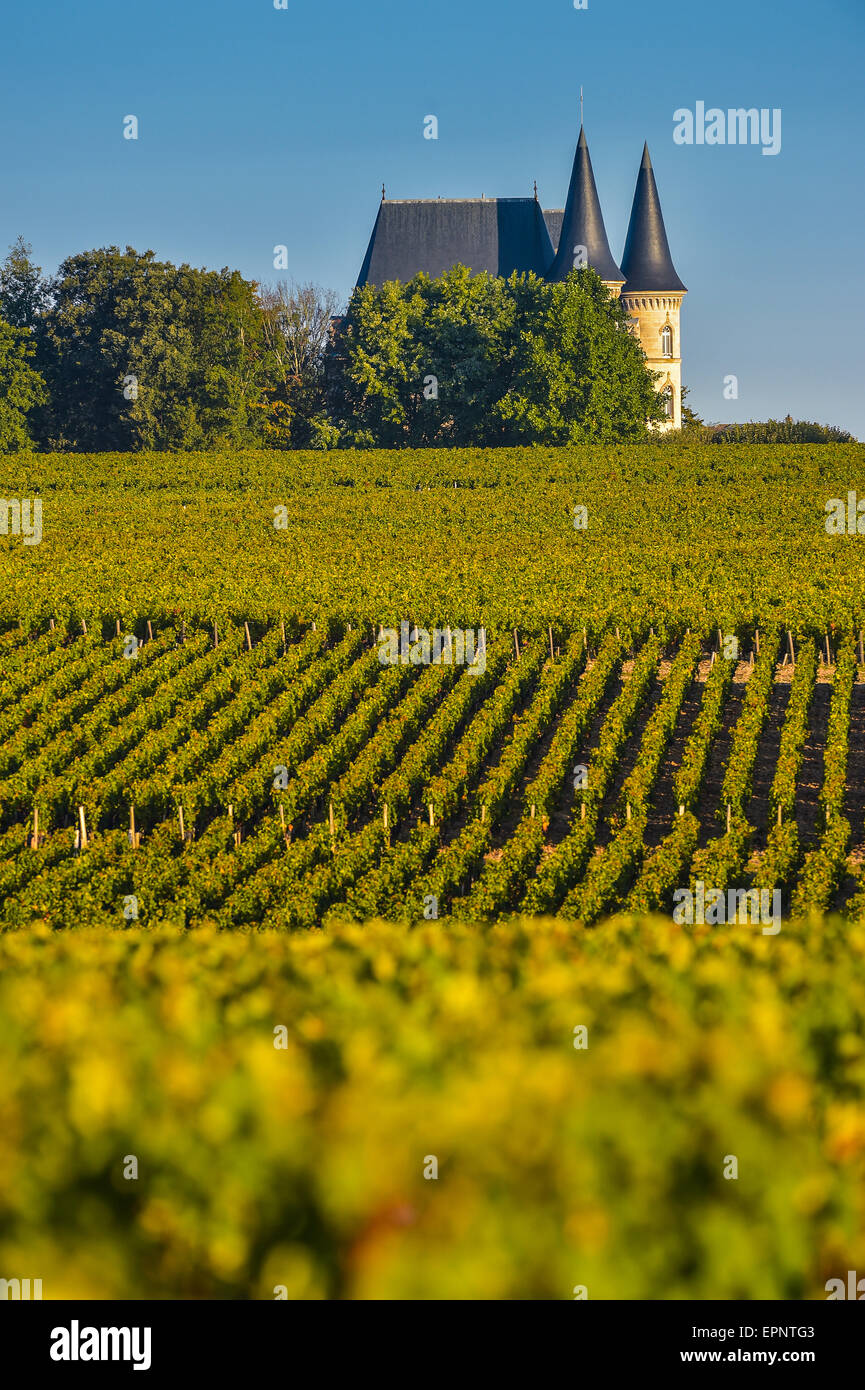 Schloss in Bordeaux Vineyard Sunrise Medoc Frankreich Stockfoto