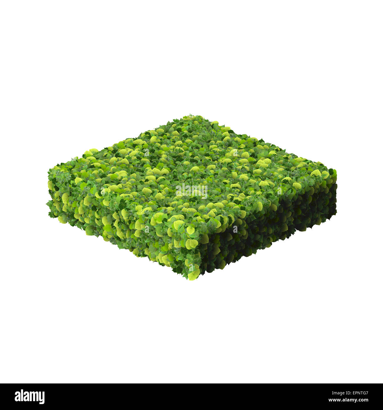 Spielkarte Eco Symbol Diamant, hergestellt aus grünen Blättern, die isoliert auf weißem Hintergrund. 3D Render. Stockfoto