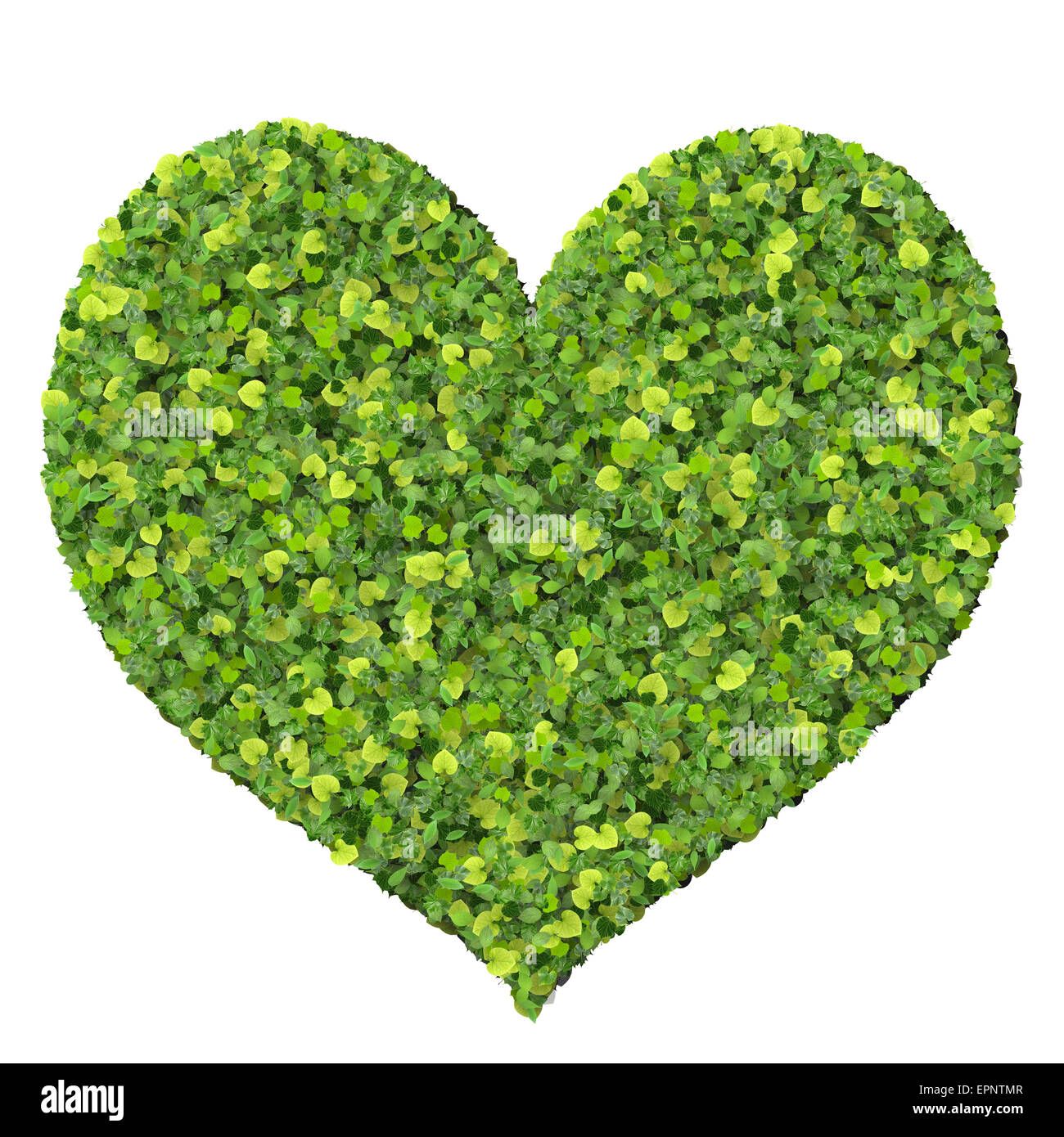 Spielkarte Eco Symbol Herz, hergestellt aus grünen Blättern, die isoliert auf weißem Hintergrund. 3D Render. Stockfoto
