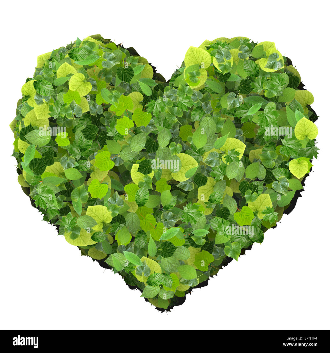 Spielkarte Eco Symbol Herz, hergestellt aus grünen Blättern, die isoliert auf weißem Hintergrund. 3D Render. Stockfoto