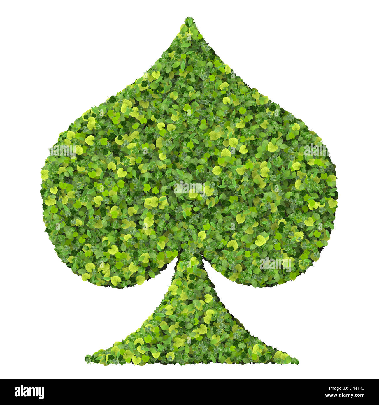 Spielkarte Eco Symbol Pik, hergestellt aus grünen Blättern, die auf soliden Hintergrund isoliert. 3D Render. Stockfoto