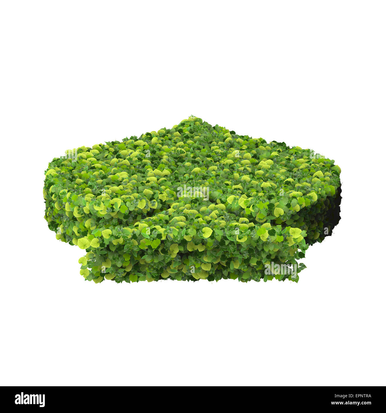 Spielkarte Eco Symbol Pik, hergestellt aus grünen Blättern, die auf soliden Hintergrund isoliert. 3D Render. Stockfoto