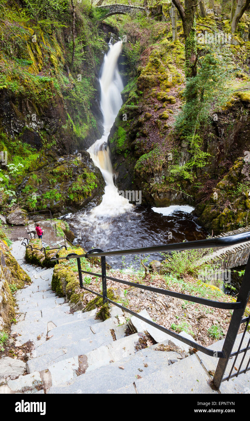 Aira Beck stürzt über Aira Force, in der Nähe von Ullswater, Lake District, Cumbria Stockfoto