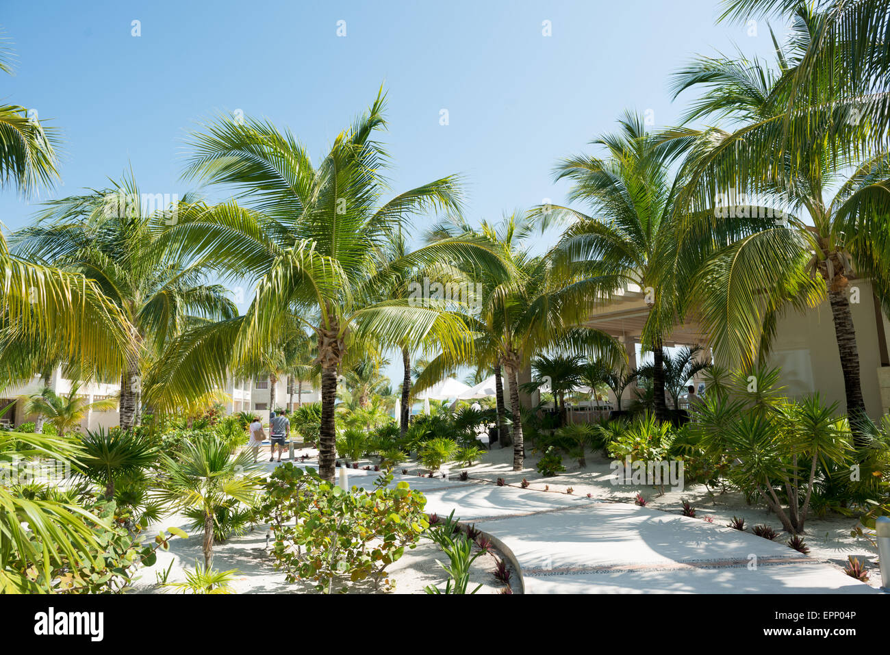 Beloved Hotel, Playa Mujeres, Mexiko, befindet sich nördlich von Cancun. Es ist ein Luxus-all-inclusive Beach Resort Besitz der Excellence-Gruppe. Stockfoto