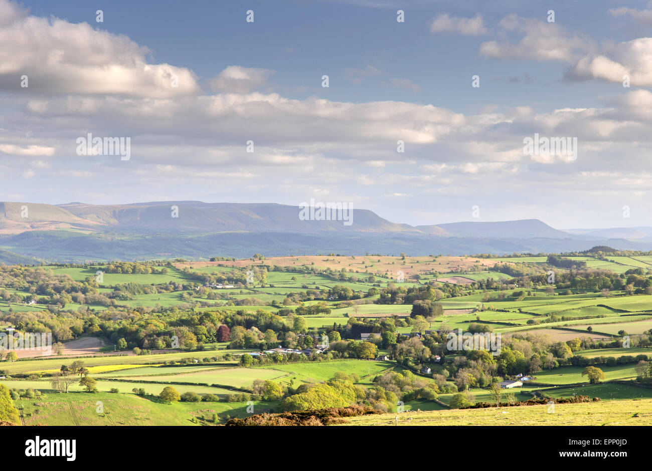 Am späten Nachmittag leichte aus der Hergest Ridge mit Blick auf die schwarzen Berge, Herefordshire, England, UK Stockfoto