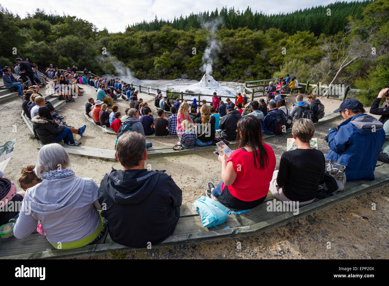 Touristen warten auf die tägliche Leistung der Lady Knox Geyser im Wai O Tapu thermal Wonderland in der Nähe von Rotorua in Neuseeland Stockfoto