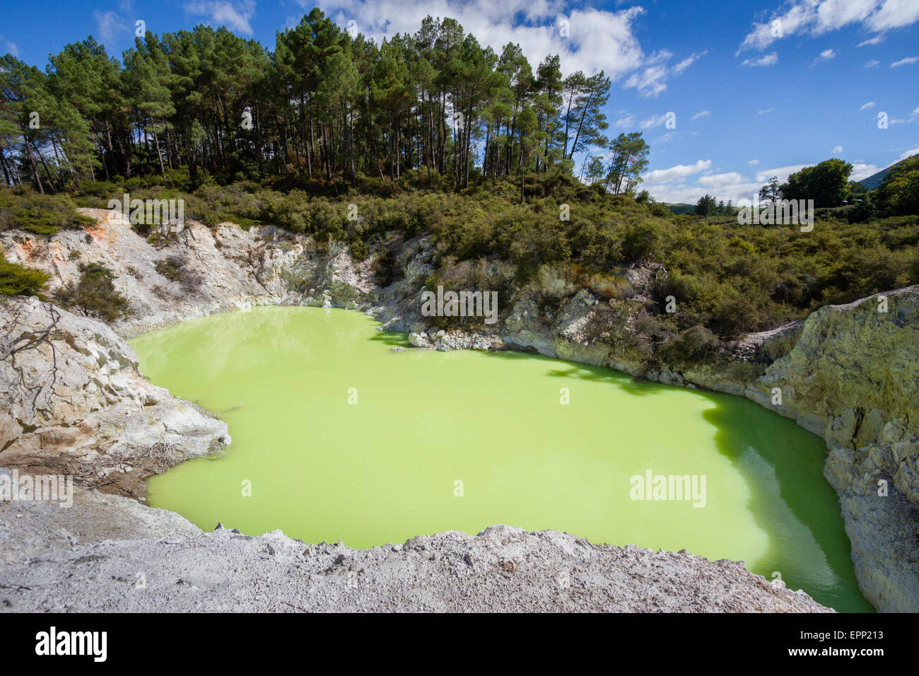 Des Teufels Badesee bei Wai o Tapu Thermal Wonderland in der Nähe von Rotorua getönt ein fahles Grün von gelösten Schwefel- und Eisensalze Stockfoto