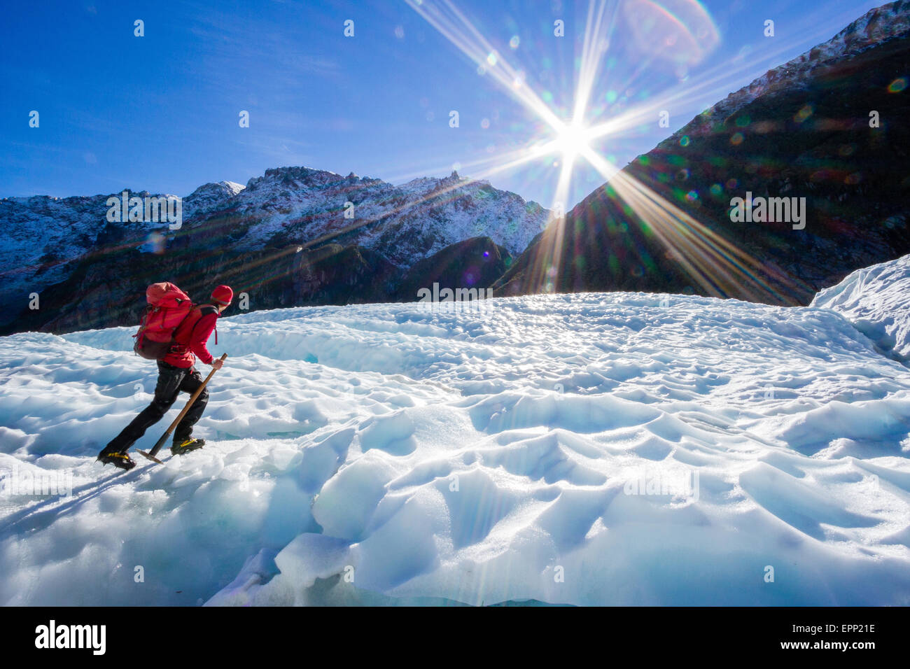 Ein Führer mit seinem Eispickel geht das Eis am Fox-Gletscher in der Südalpen Neuseelands Stockfoto