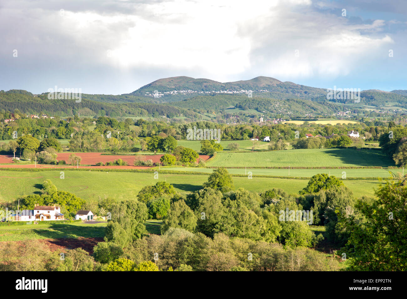 Malvern Hills von Bringsty häufig in Frühling, Herefordshire, England, UK Stockfoto