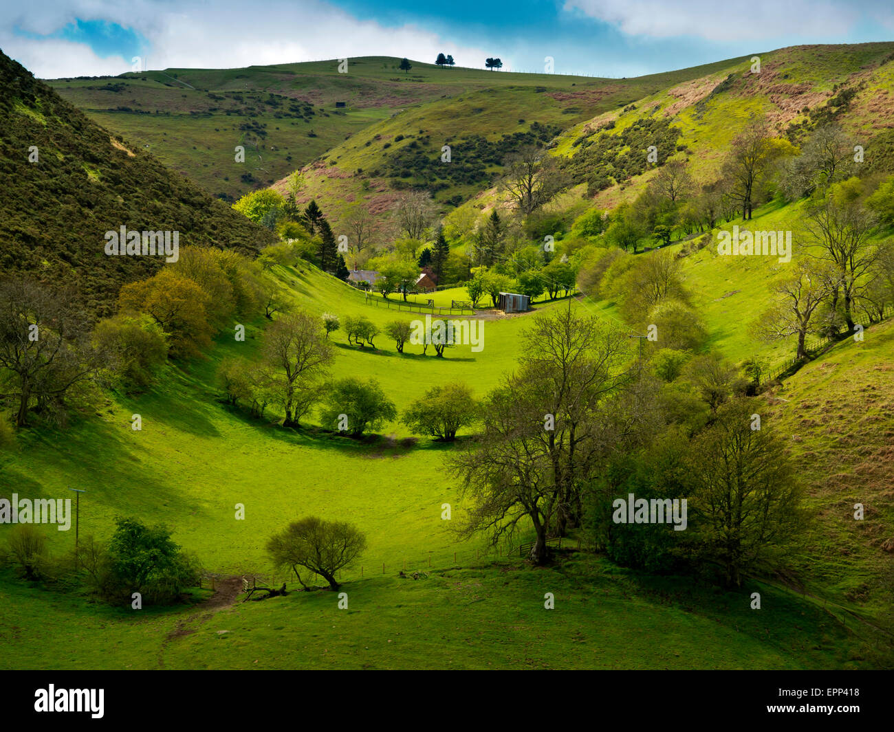 Batch-Tal auf der Long Mynd in der Nähe von Kirche Stretton in Shropshire Hügel England UK Stockfoto