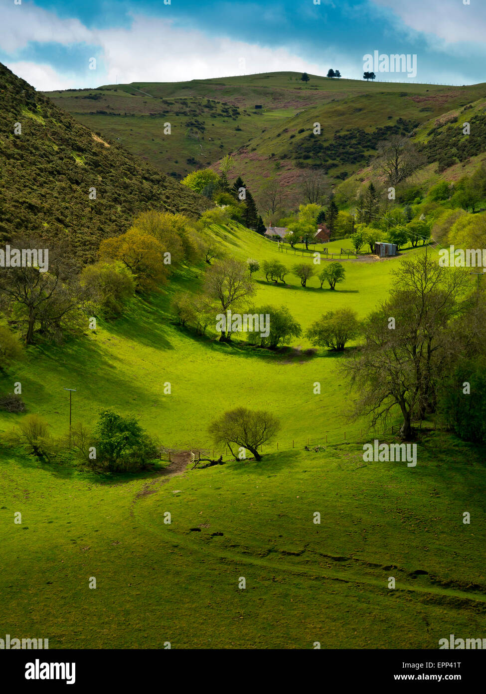 Batch-Tal auf der Long Mynd in der Nähe von Kirche Stretton in Shropshire Hügel England UK Stockfoto