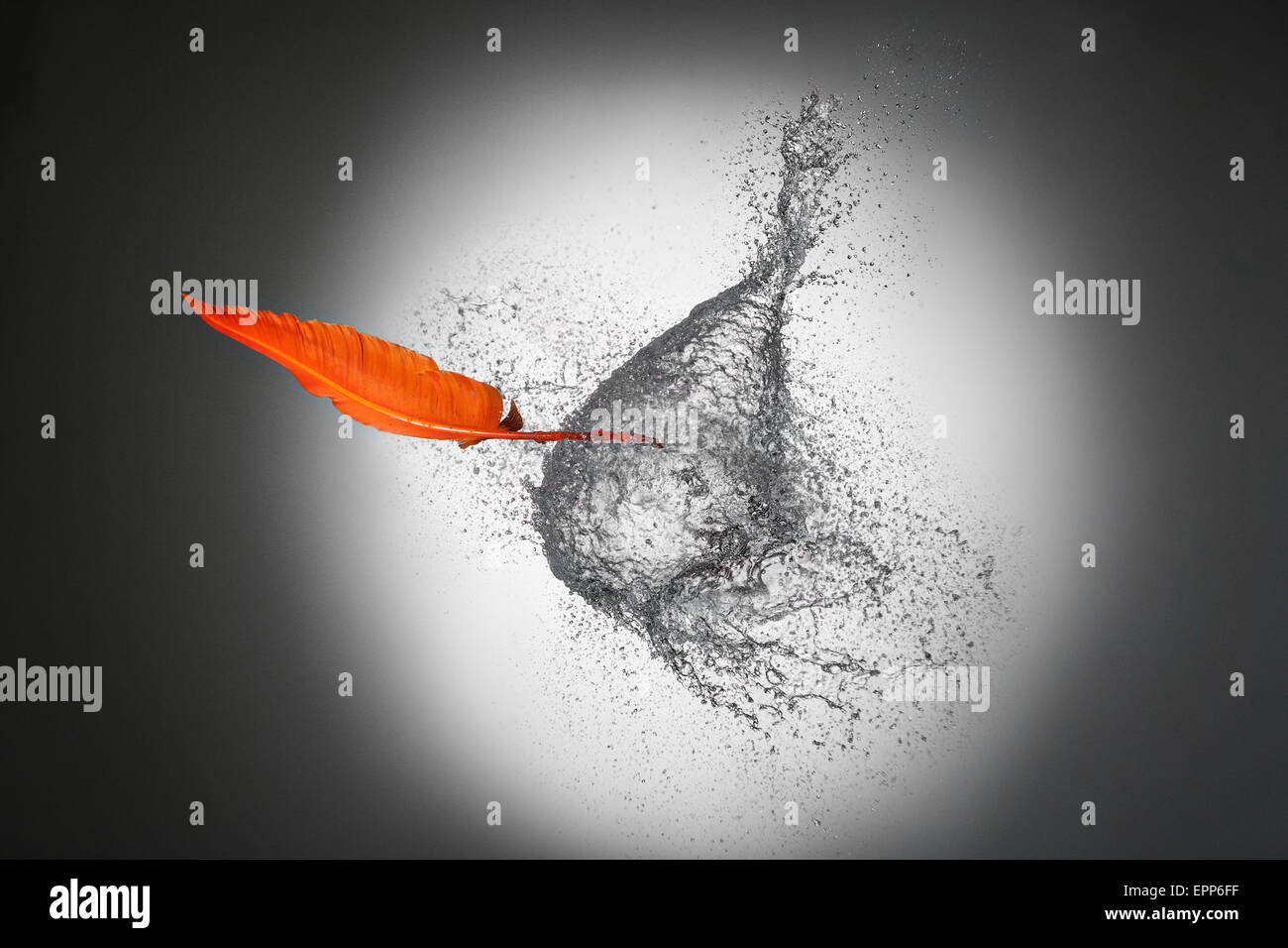 Feder Feder Pierce riesigen Wassertropfen. Soll-Konzept Stockfoto