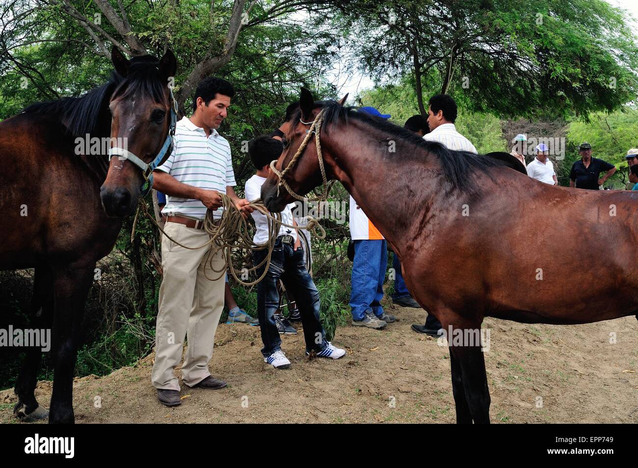 Pferderennen - Festival in SAN JUAN De La VIRGEN. Abteilung von Tumbes. Peru Stockfoto