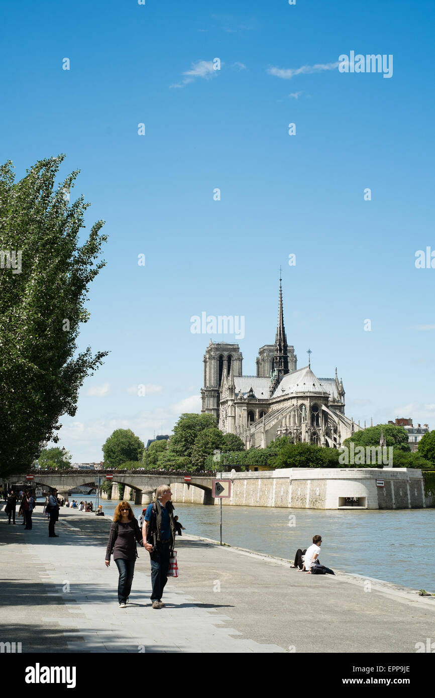 Der Rückseite der Kathedrale Notre Dame, Paris, Frankreich Stockfoto