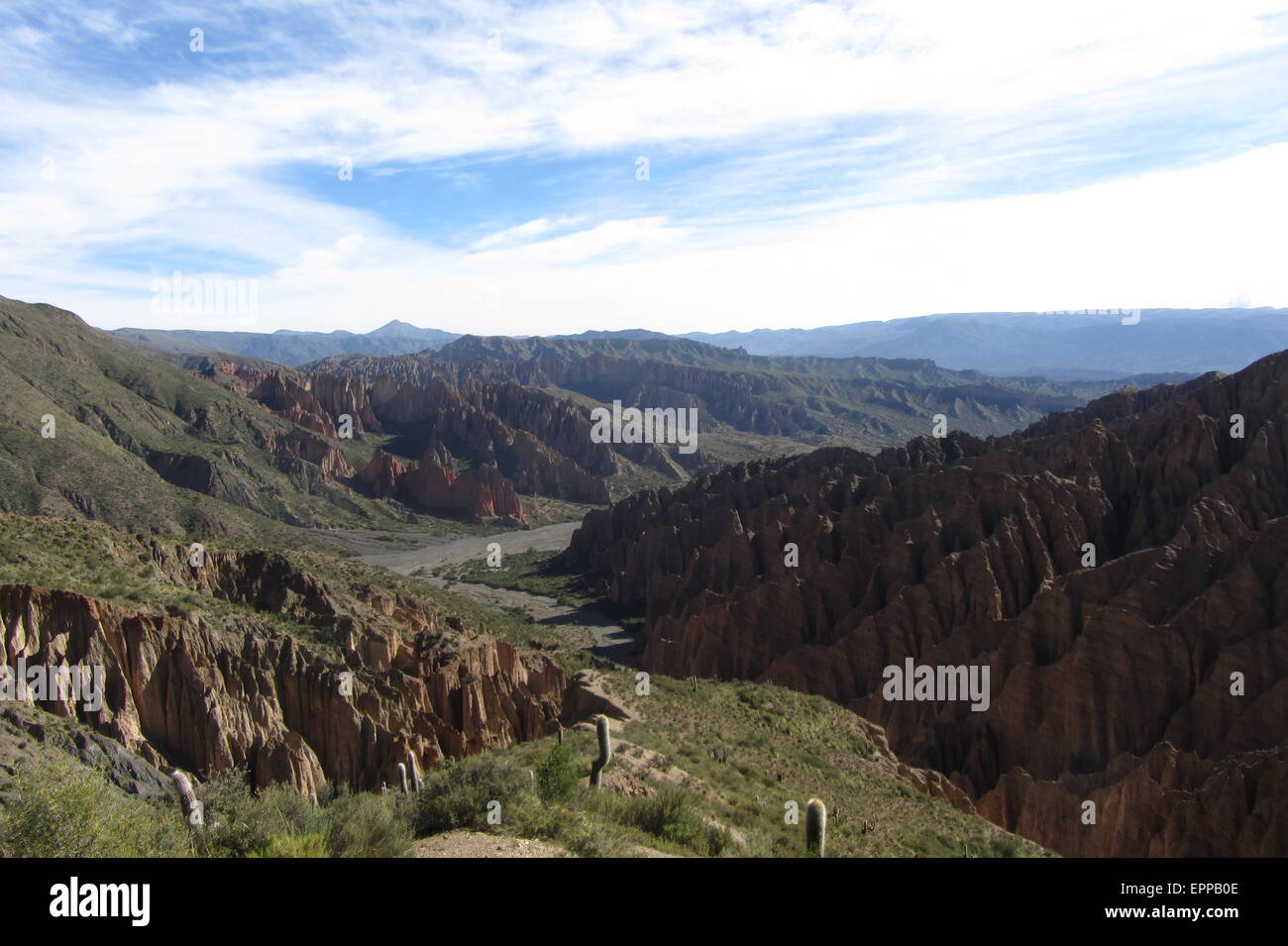 Berge von Bolivien, Altiplano, Wüste und grüne Landschaften, Bäume und Felsen, Sand, Himmel und Erde. Schöne Aussicht Stockfoto