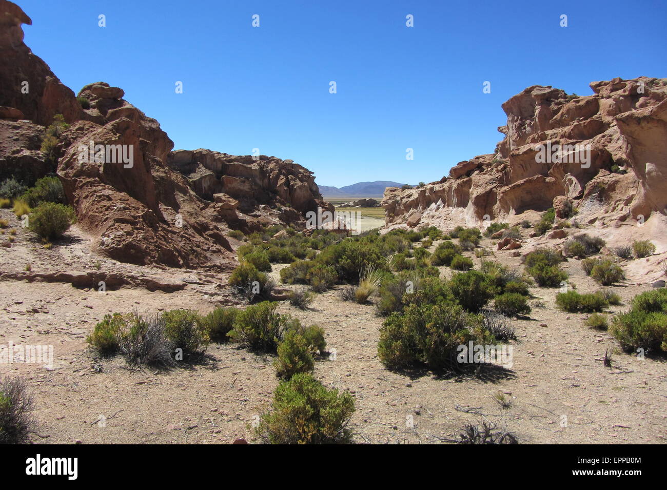 Berge von Bolivien, Altiplano, Wüste und grüne Landschaften, Sand, Himmel und Erde. Schöne Aussicht Stockfoto