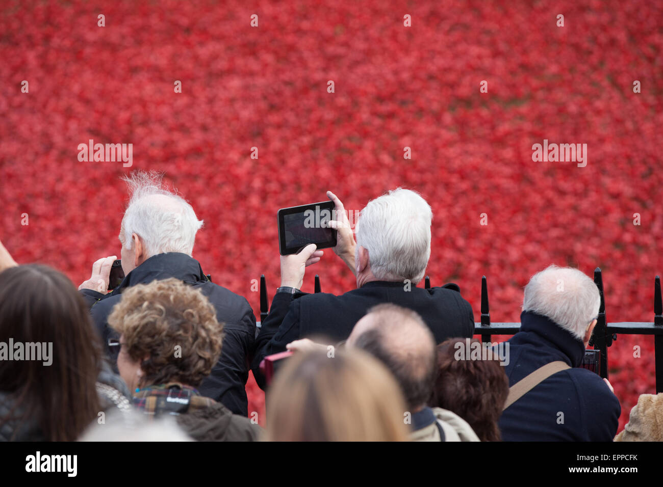 Mitglieder des pubic Viewing der Tower von London Mohnblumen Installation am 6. November 2014 Stockfoto