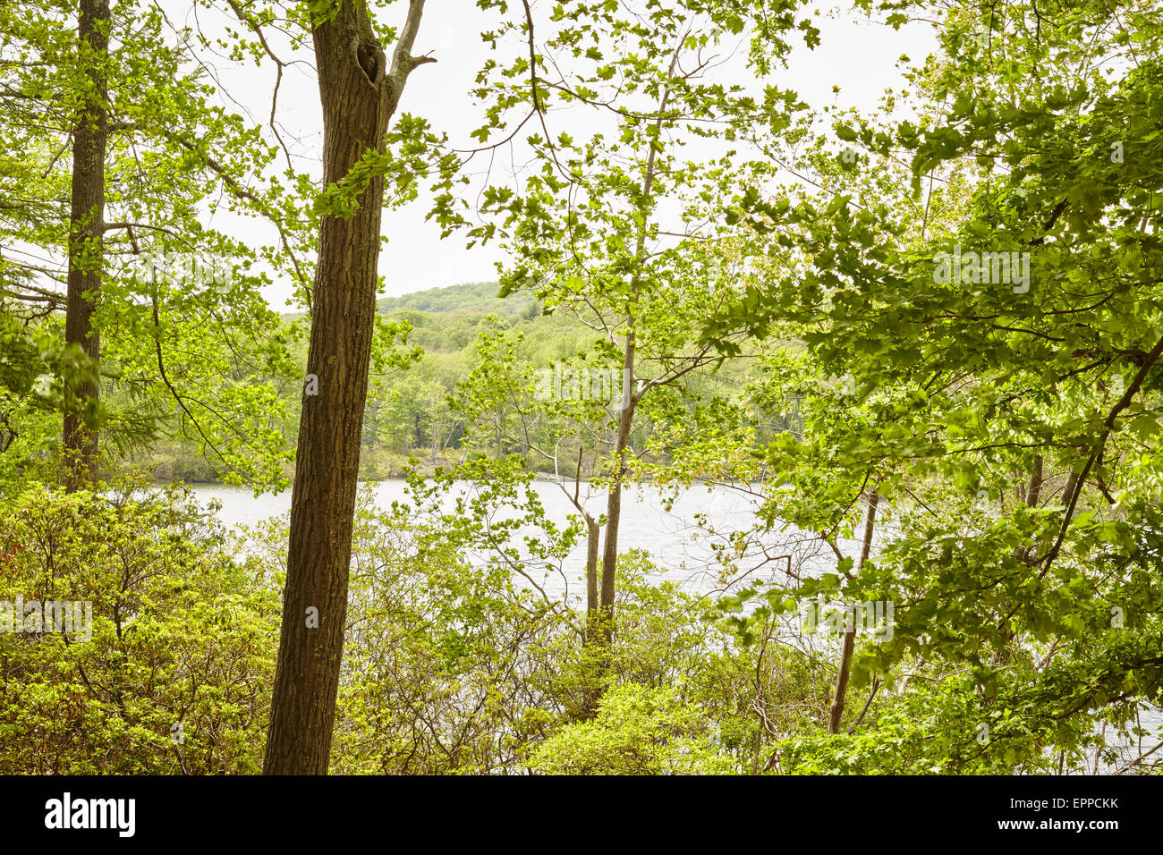 Lake Askoti, Harriman State Park, Smoking, New York, USA Stockfoto