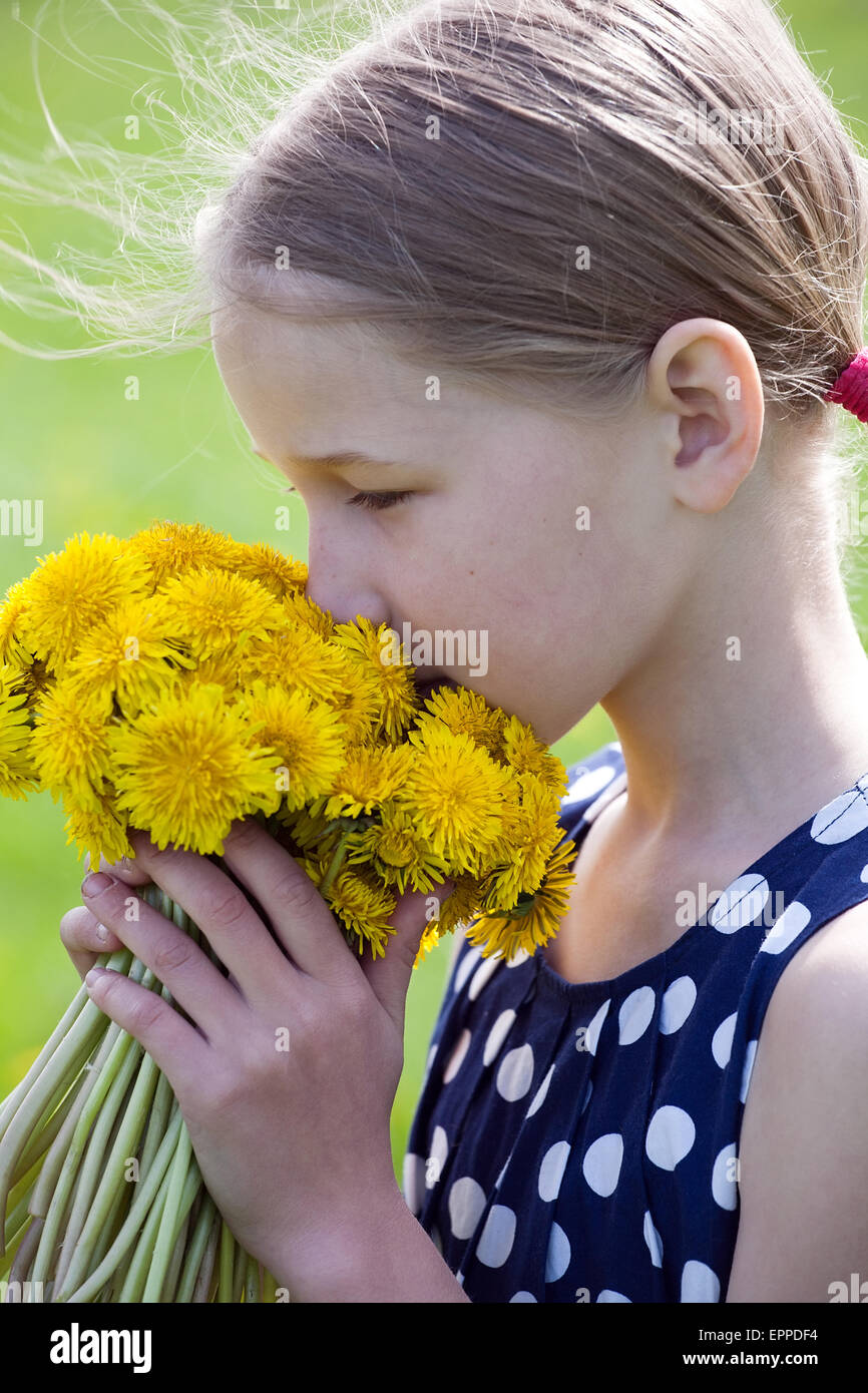Kaukasisches Mädchen riechen eine Reihe von gelben Löwenzahn in die Hände auf grünen Rasen Hintergrund Stockfoto