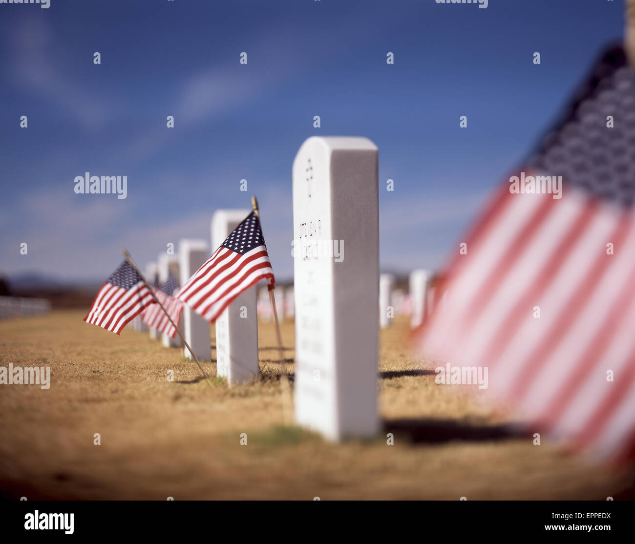 US-Flaggen schmücken die Gräber und Grabsteine gefallener Soldaten am sonnigen, ruhigen Veterans Day auf den Friedhöfen Militär von Ft. Stockfoto