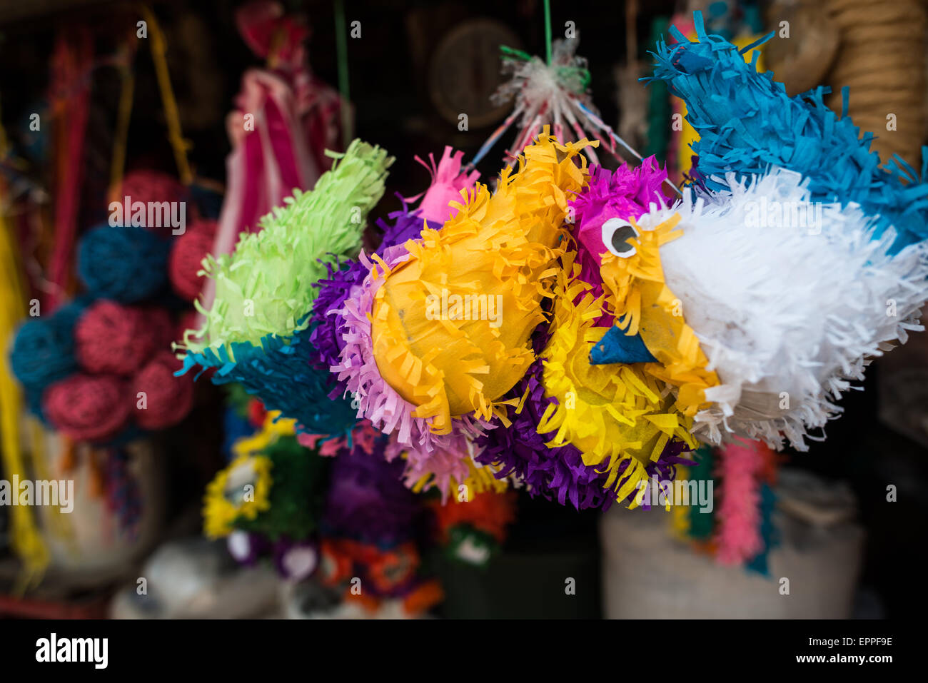 Pinatas zum Verkauf Mercado Municipal Granada Nicaragua // GRANADA, Nicaragua — farbenfrohe Pinatas und Papierdekorationen hängen an einem Handwerksstand im Mercado Municipal zum Verkauf. Diese traditionellen handgefertigten Gegenstände sind beliebte Einrichtungsgegenstände bei lokalen Feiern, Geburtstagen und Festivals in ganz Nicaragua. Der Mercado Municipal ist ein zentraler Marktplatz in Granada und bietet Einwohnern und Besuchern eine Vielzahl an lokalem Kunsthandwerk, Lebensmitteln und Alltagswaren. Granada wurde 1524 gegründet und ist eine der ältesten Kolonialstädte Amerikas und ein kulturelles Zentrum, das für die Erhaltung des traditionellen Nicaraguas bekannt ist Stockfoto