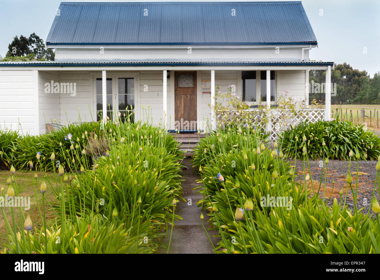 Ein Bach Namens Auch Ein Kinderbett Ein Neuseeland Stil Ferienhaus Oder Haus Am Meer In Hawkes Bay Stockfotografie Alamy