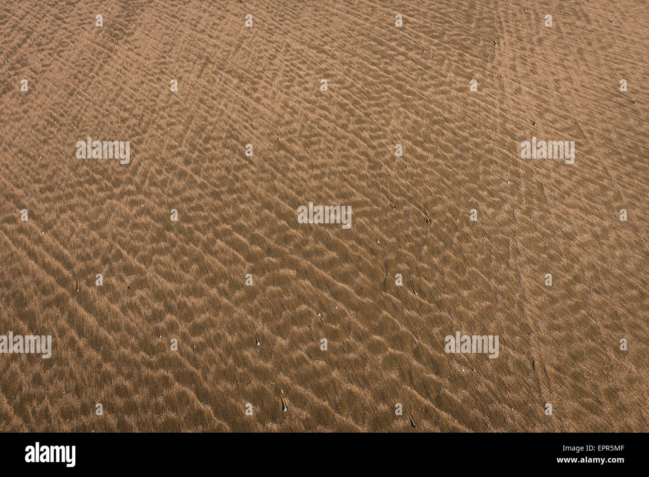 Muster in den Sand am Nicholaston Strand, Oxwich Bay, Gower, Wales Stockfoto