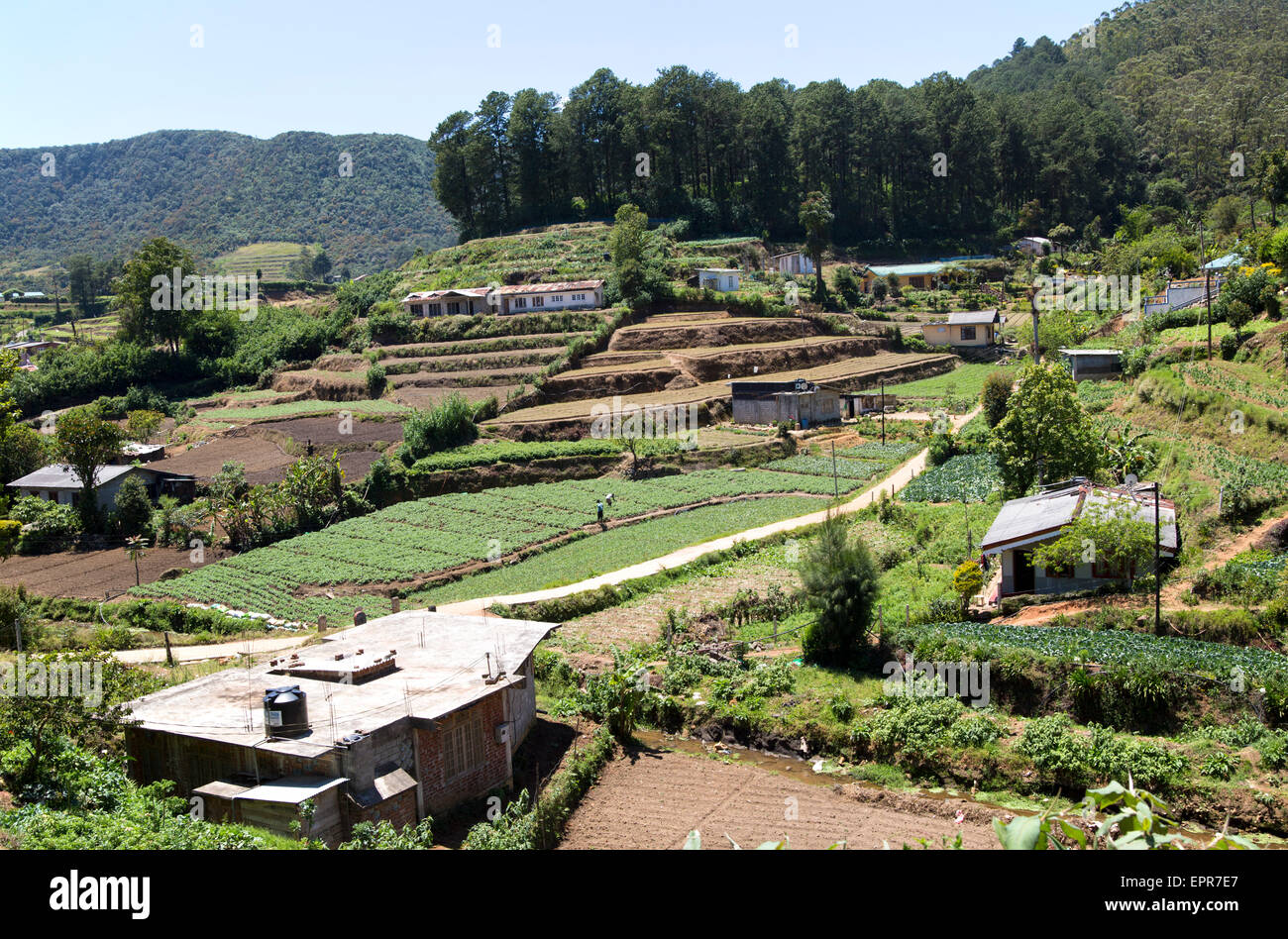 Subsistence Fotos und Bildmaterial in hoher Auflösung Alamy