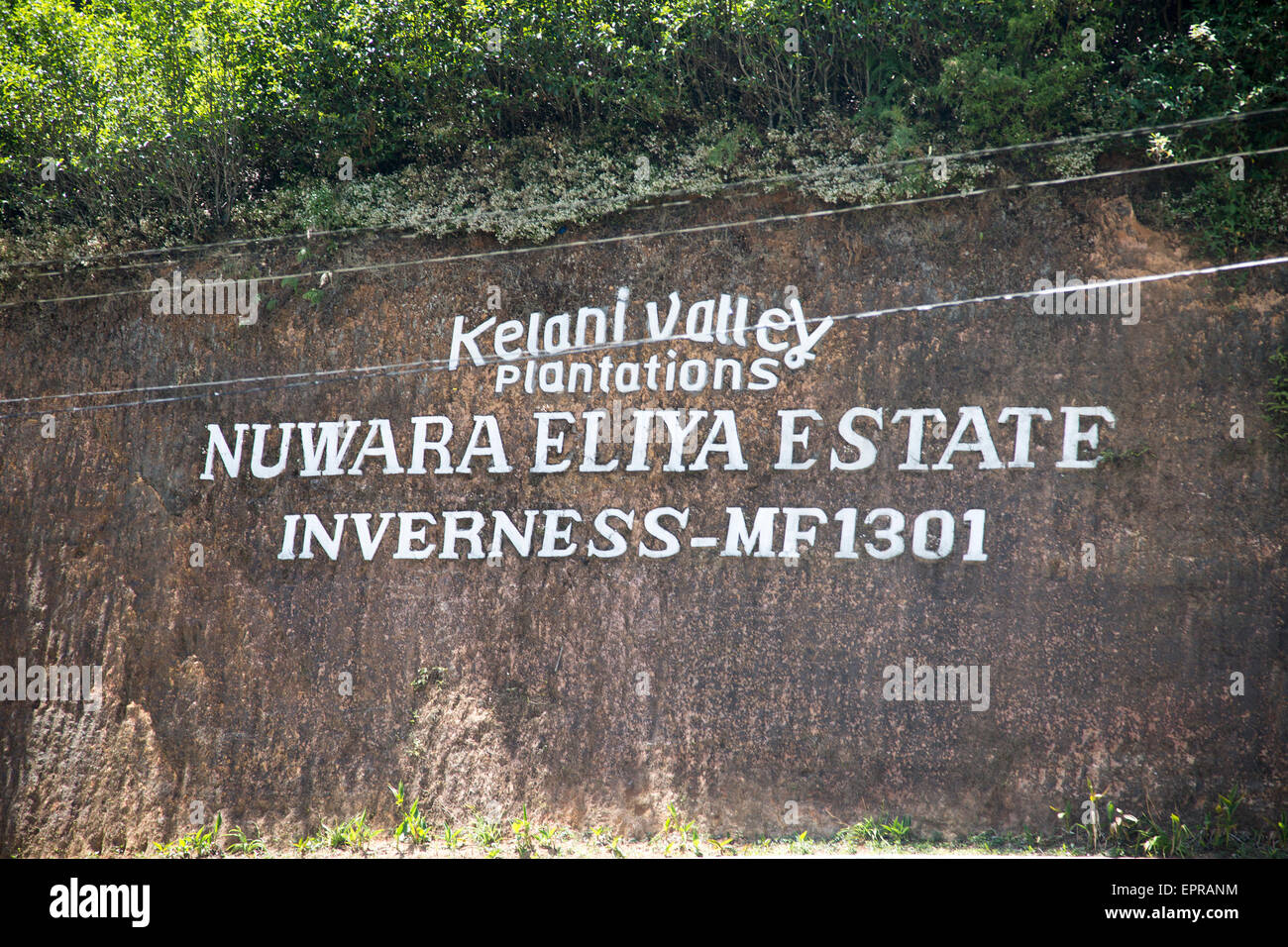 Schottischen Ort Namensschild für Teeplantage Nuwara Eliya, zentrale Provinz, Sri Lanka, Asien Stockfoto