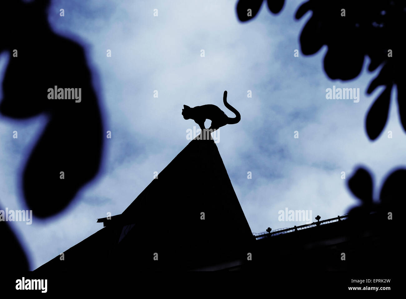 Wütend - auf der Suche gemeißelte Figur der Katze auf Türmchen auf dem Dach an der Katze Haus ein Gebäude in der Altstadt von Riga, der Hauptstadt Lettlands. Riga ist eines der größten Zentren des Jugendstils, mit mehr als ein Drittel der Gebäude der zentralen Bezirk errichtet im Stil. Stockfoto