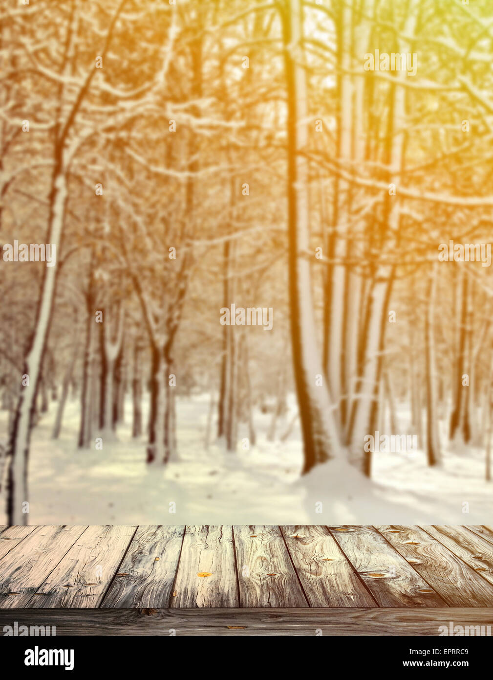 Winterwald und Holzboden Stockfoto