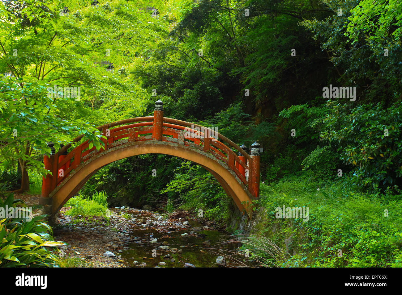 Japanische Art Szene mit Brücke Stockfoto