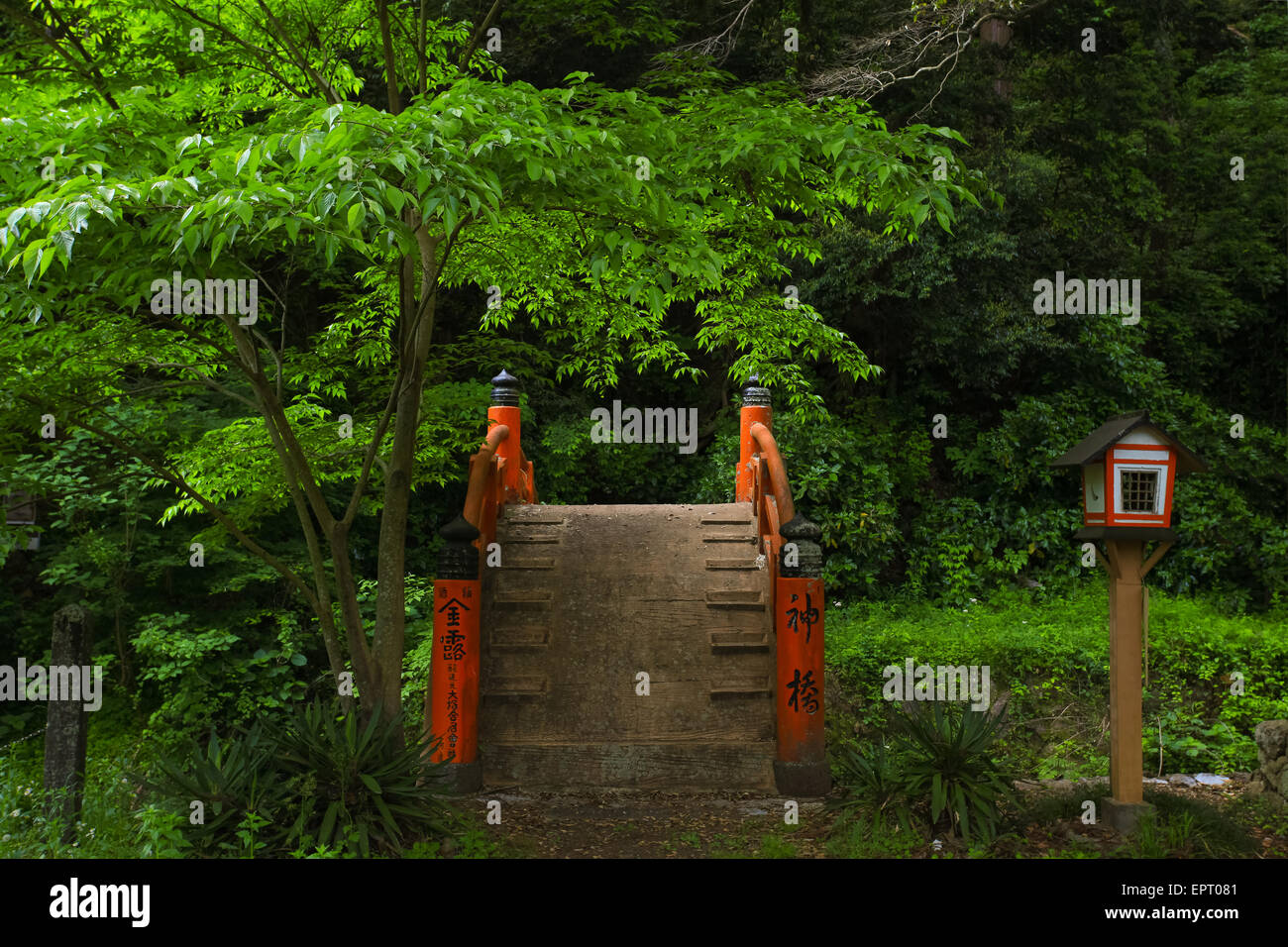 Japanische Art Szene mit Brücke Stockfoto
